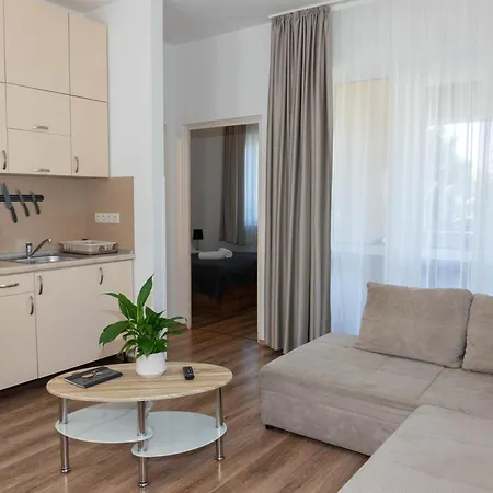 公寓 Boro Tiszafüred