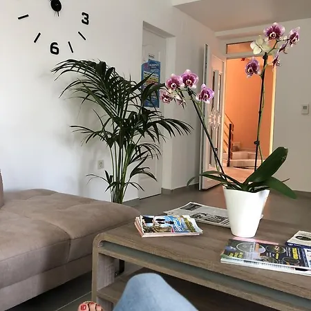 Apartment Boro