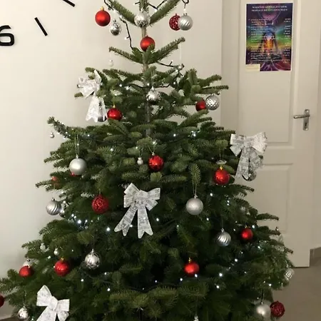 Boro Lägenhet Tiszafüred