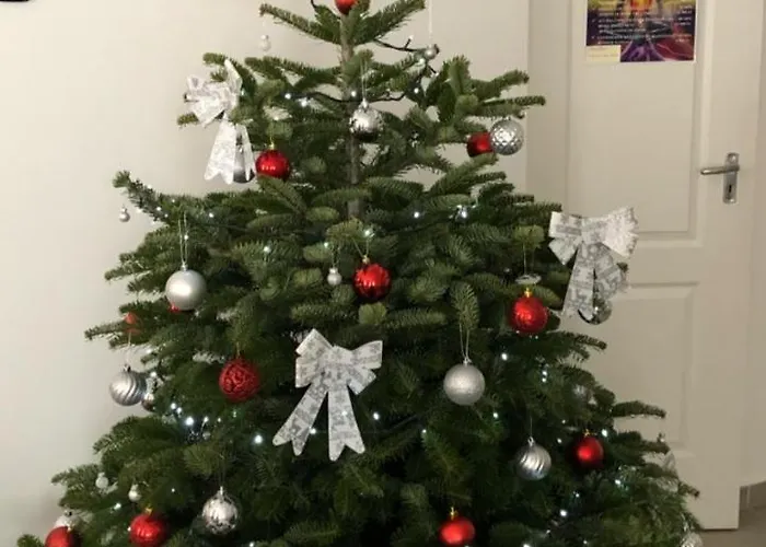 Boro Apartmán Tiszafüred