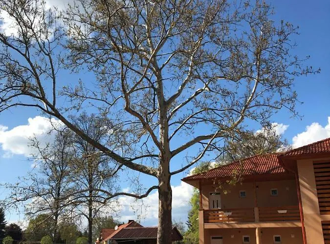 Boró Apartman