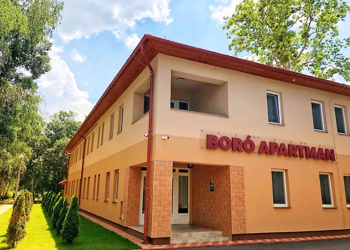 Boró Tiszafüred